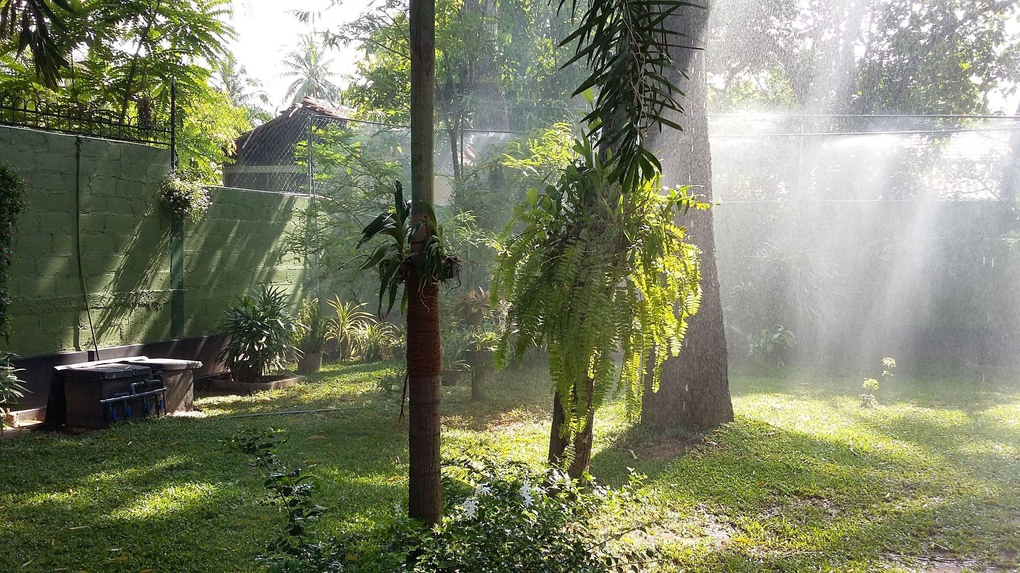 West Dene Bed & Breakfast Negombo Luaran gambar