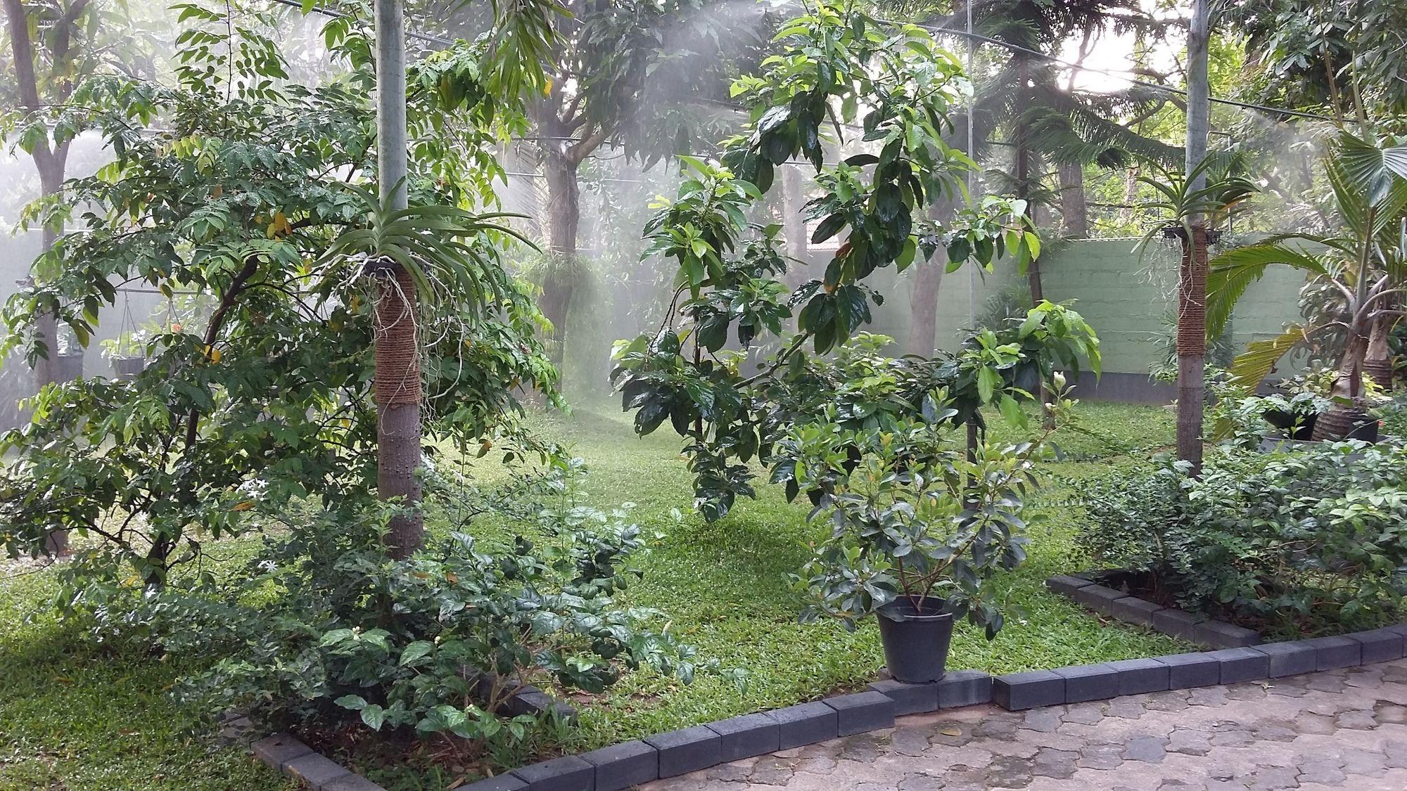 West Dene Bed & Breakfast Negombo Luaran gambar
