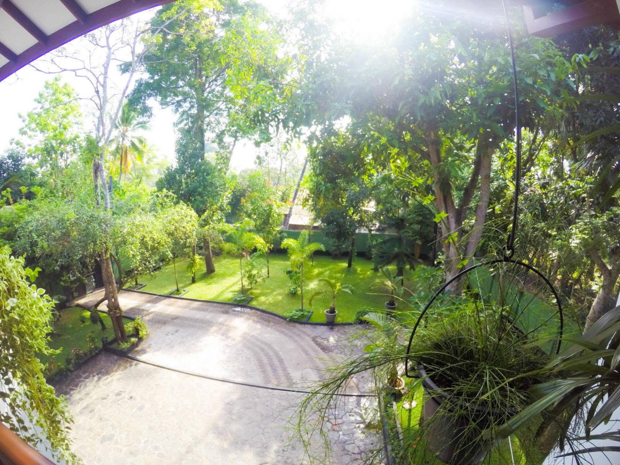 West Dene Bed & Breakfast Negombo Luaran gambar